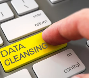 Data Cleansing Services for AI/ML