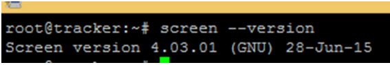 Linux Screen