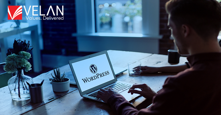 Why Hiring Dedicated WordPress Developers is Better Than DIY Website Building 2-1