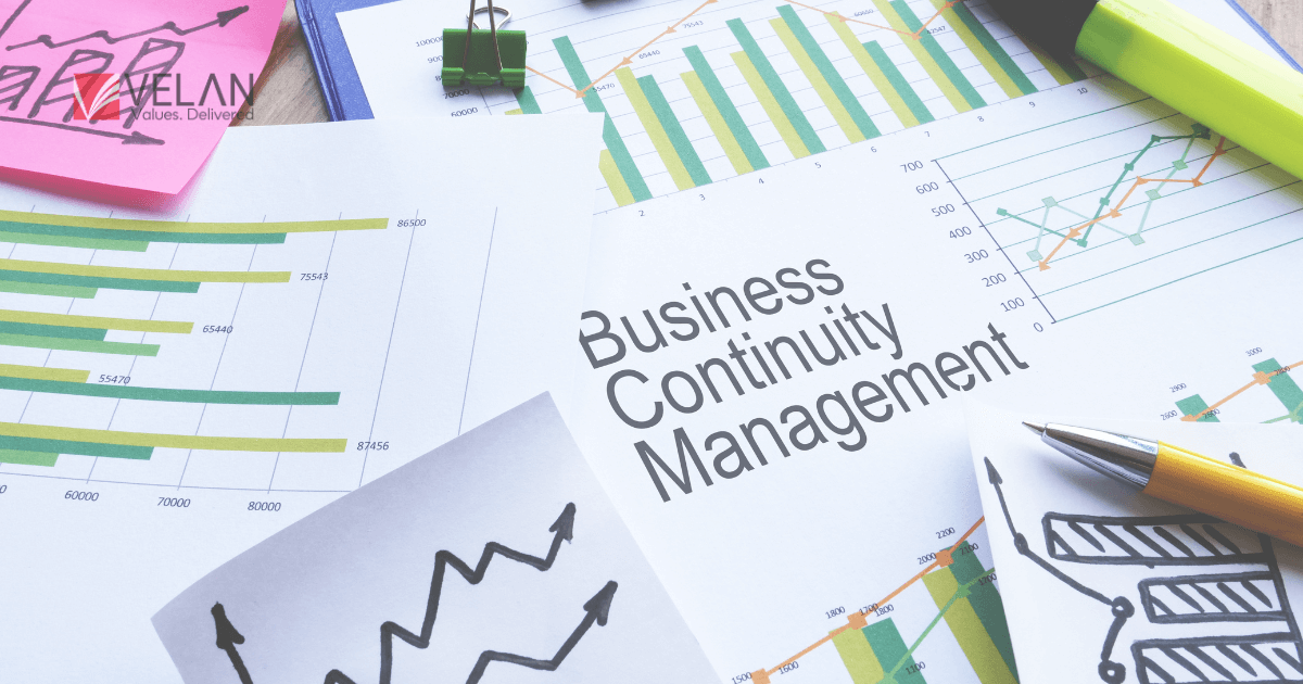 Which Companies Offer Tailored BI Solutions For Small To Mid-Sized Businesses